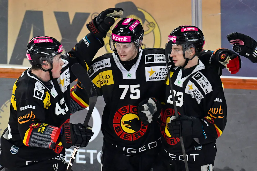 Gli orsi si avvicinano.