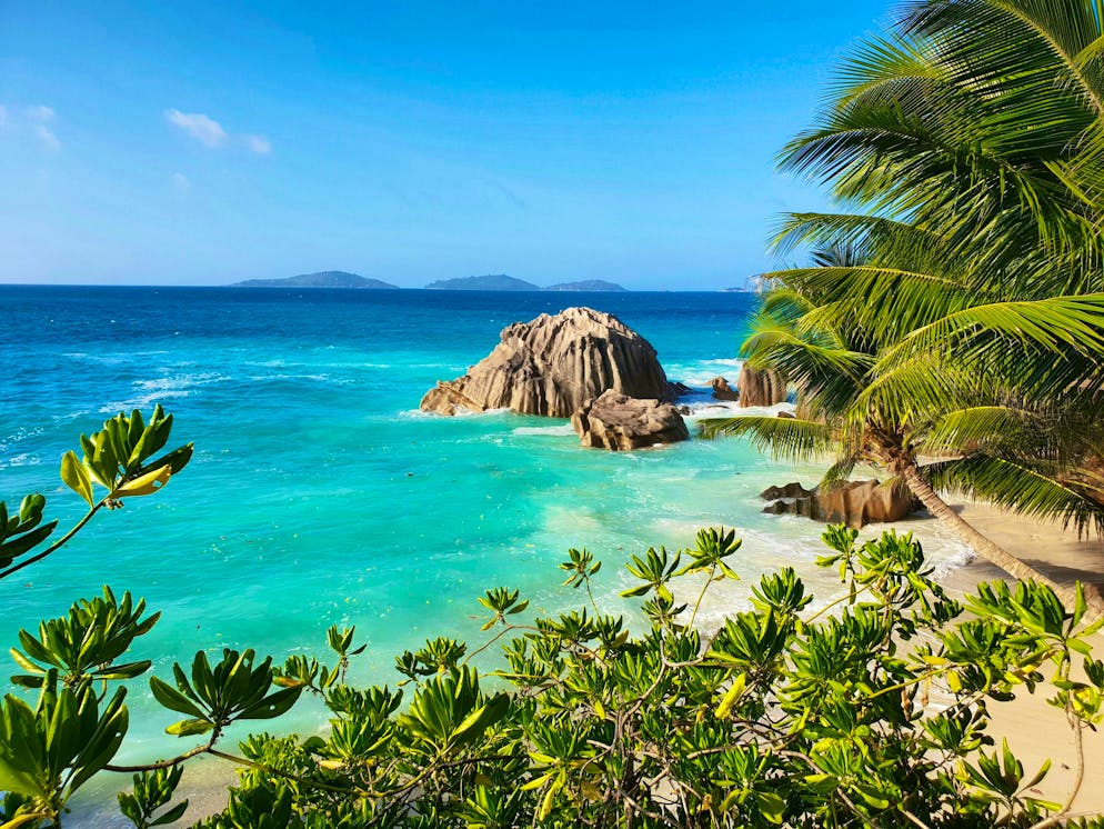 Looks like a Windows desktop background, could soon be your view