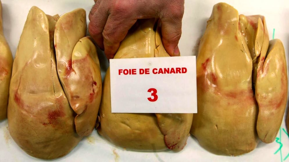 Svizzera. Controprogetto all'iniziativa contro il foie gras, spaccatura tra destra e sinistra