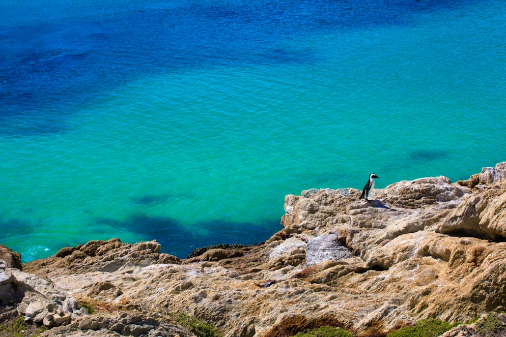 No snow in sight on the Garden Route