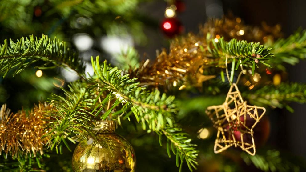 Genève. Des endroits pour ne pas passer seul les Fêtes de fin d'année