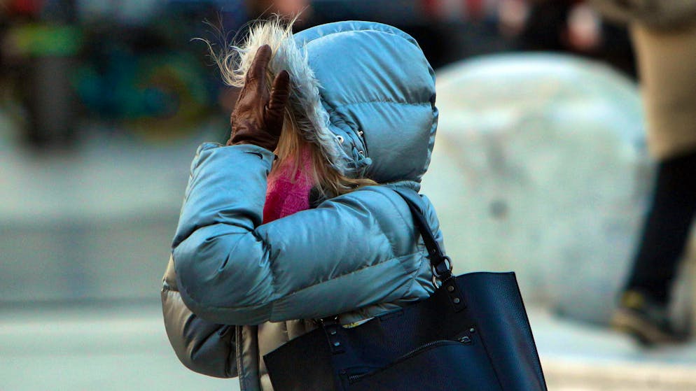 Real and fake down are among the top 5 warmth providers.