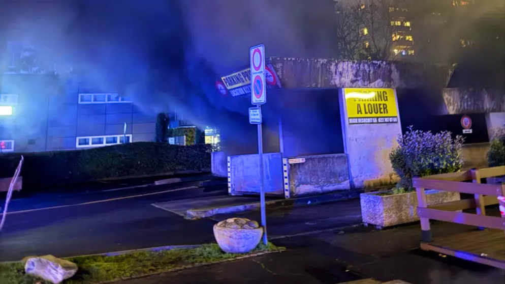Le feu a provoqué un fort dégagement de fumée (cliché du Service d'incendie et de secours de Genève)