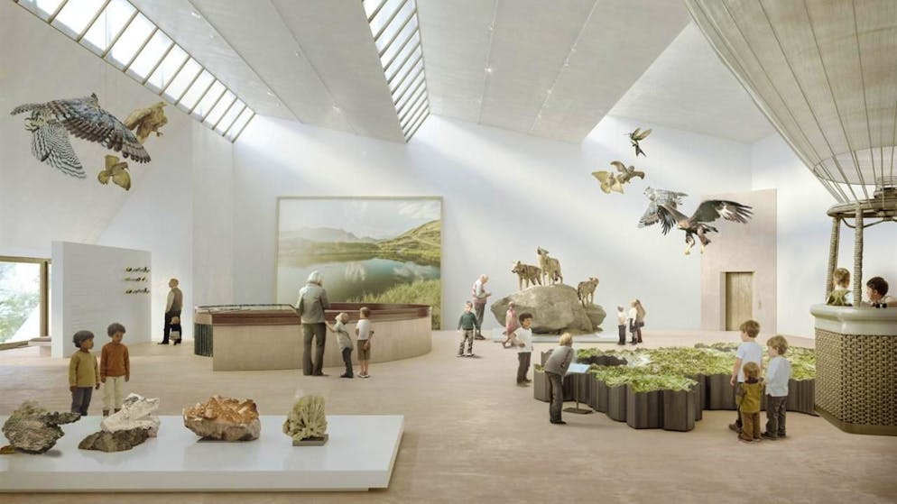 Con sede a Coira. Dopo 44 anni, il Museo della natura retico viene rinnovato