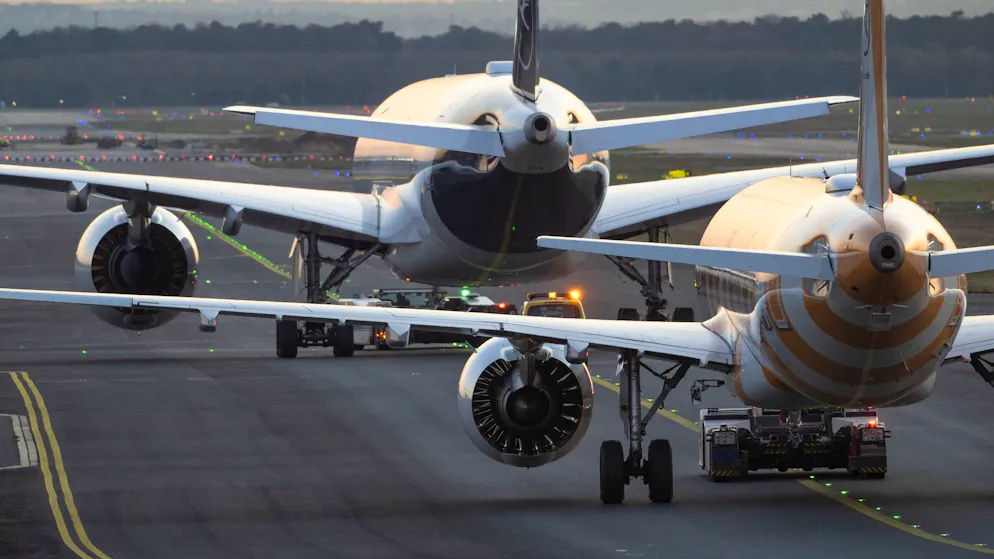 «Unprofessioneller Unsinn» geht viral. US-Piloten nerven Fluglotsen mit Tiergeräuschen