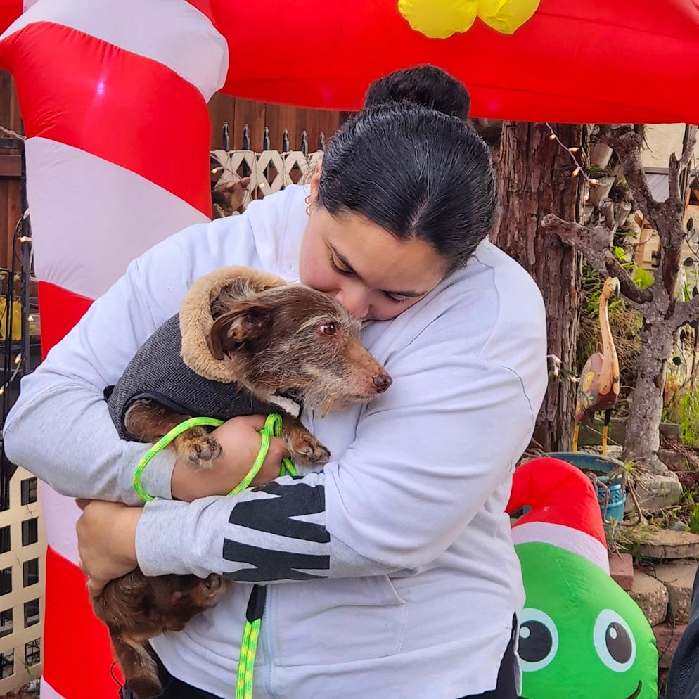 Choco e la sua padrona si sono ricongiunti a inizio di dicembre.