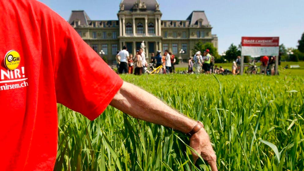 Negoziata un'eccezione. La Svizzera non sarà obbligata a importare dall'UE alimenti geneticamente modificati