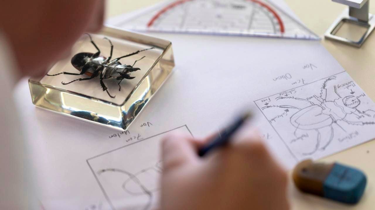 Politics. Parliament wants to introduce new titles in higher vocational education and training