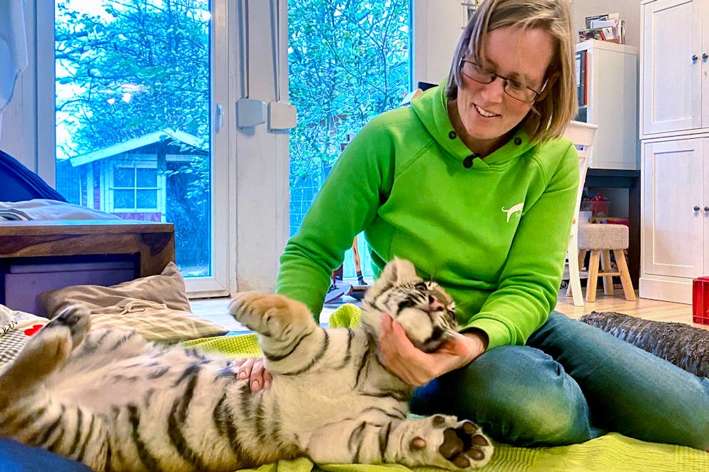 2023: Mona Vetsch besuchte für «Auf und davon» Auswanderin Alexandra Taetz mit ihrer Familie in Deutschland. Hier kuschelte sie mit einem 13 Wochen alten Tigerbaby.