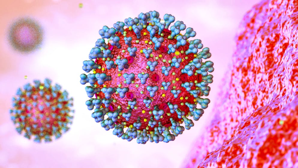 L'agence américaine du médicament (FDA) mène une large enquête sur de possibles morts liées aux vaccins contre le Covid-19.