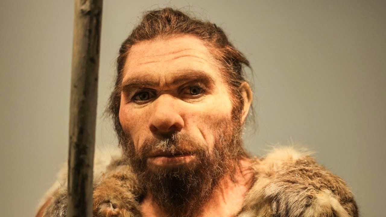 Archäologie. Menschen machten wohl viel früher Feuer als bislang angenommen