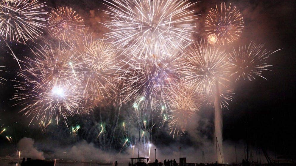 Les feux d'artifice divertissent une partie de la population. Mais ils dérangent, voire font aussi beaucoup souffrir les animaux, les enfants et les personnes sensibles (archives).