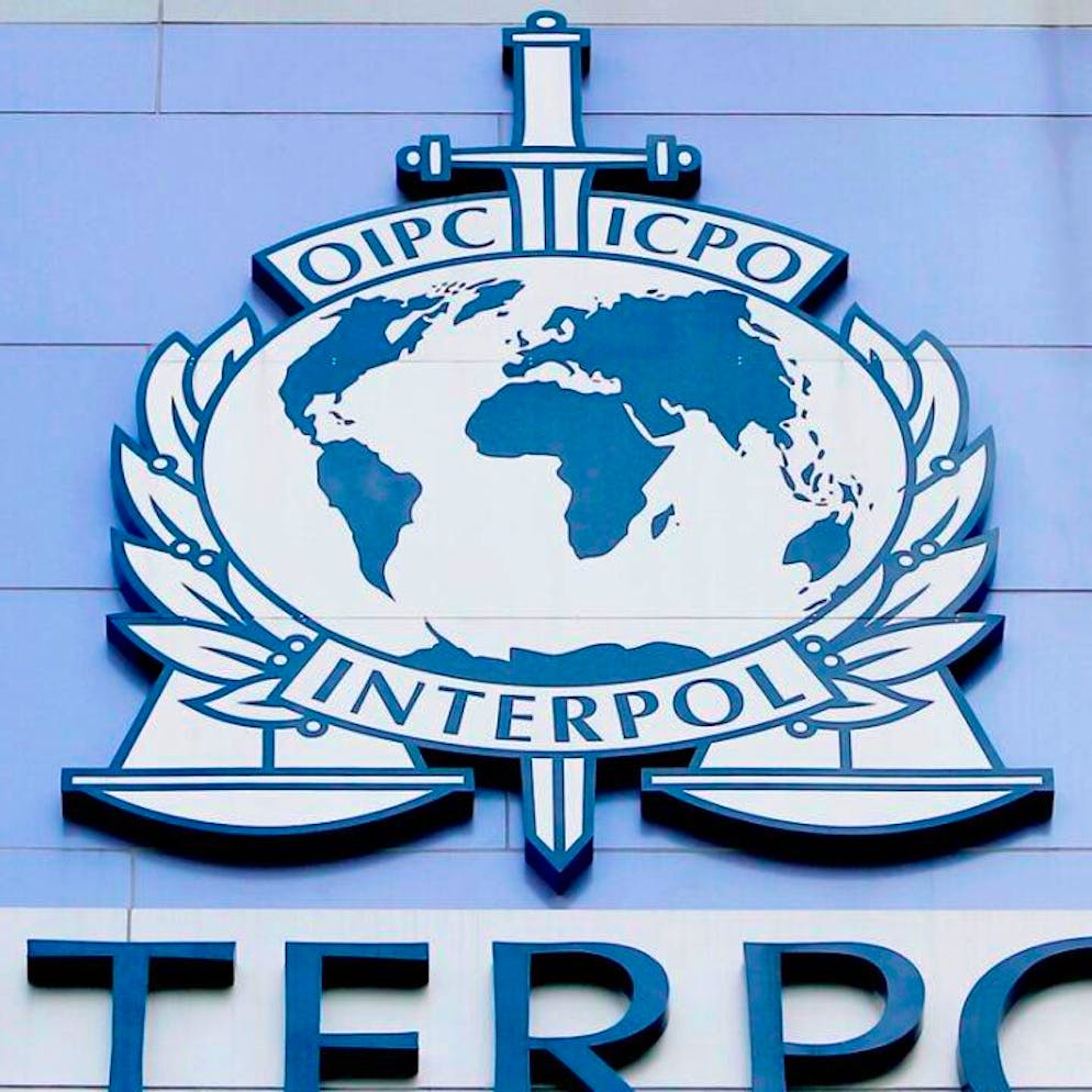 En 2025. Le trafic d'animaux vivants a atteint de nouveaux records