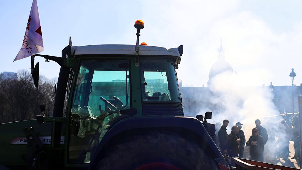«En finir avec cette folie». France : l'abattage de bovins malades met le feu au monde agricole !