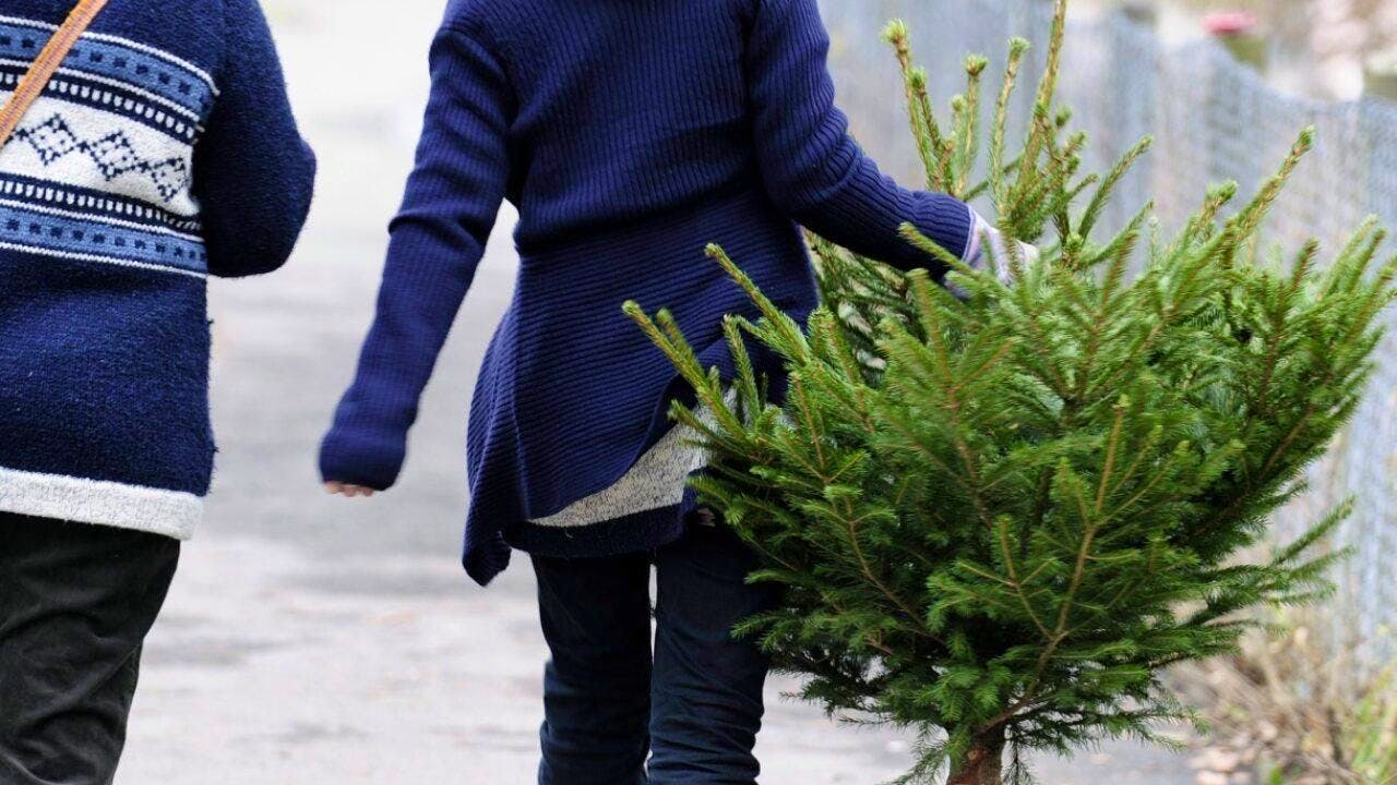 Festività. Natale: invitare i parenti a casa? 1 europeo su 4 preferisce di no