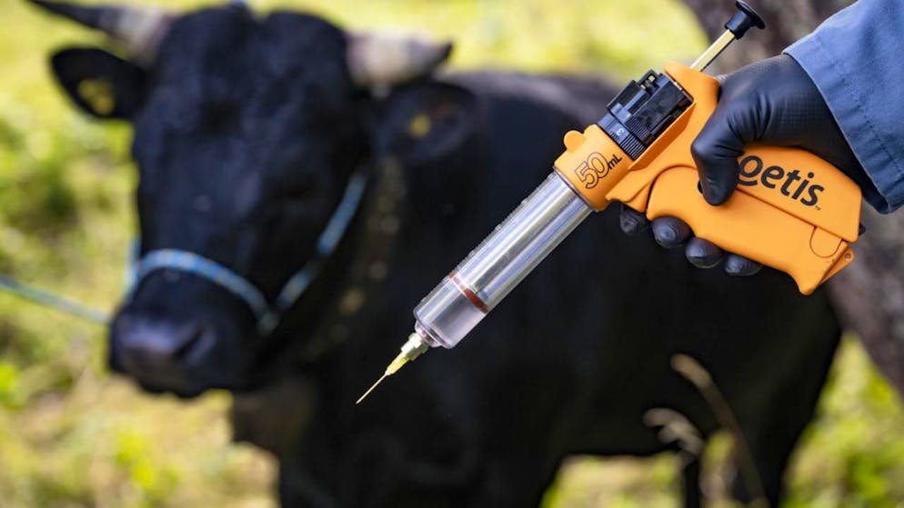 Plus de 200 bovins doivent être abattus en France après la découverte d'un cas de dermatose nodulaire contagieuse. De quoi énerver les agriculteurs sur place (image d'illustration).