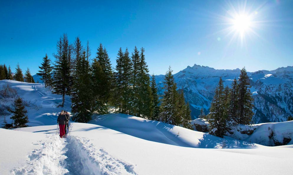 Hike on the Braunwald Panorama Trail with views of the Glarnerland and the Glarus Alps.