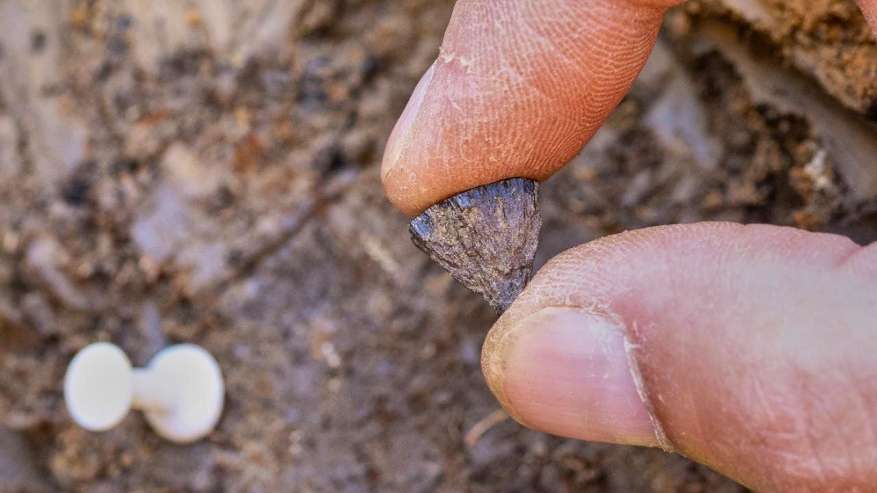 Archéologie. La plus ancienne preuve de maîtrise du feu trouvée au Royaume-Uni
