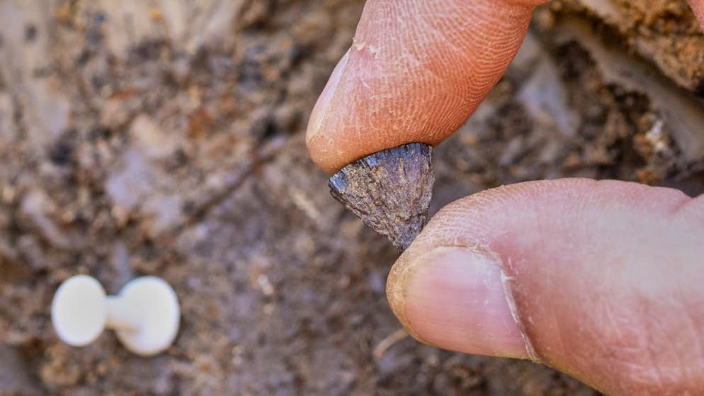 Le moment-clé sur le site de fouilles de Barnham a été la découverte de pyrite de fer (archives).