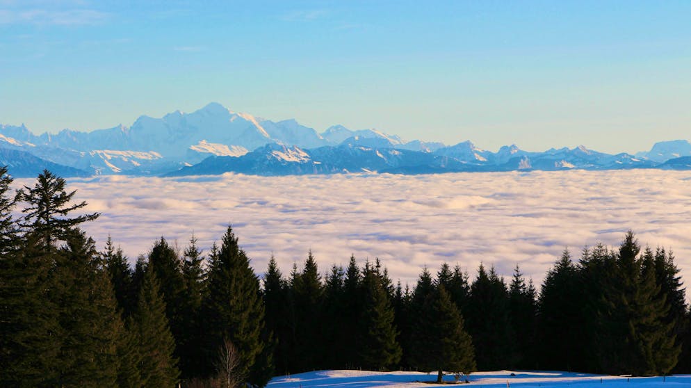Above the sea of fog: the Col du Mollendruz connects the villages of L'Isle and Le Pont, with the pass at 1180 meters above sea level.