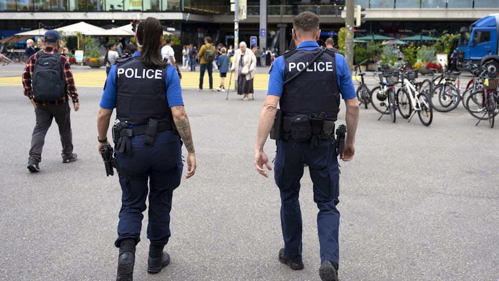 Büsi in S-Bahn und gärende Stinkfrucht. Das waren die kuriosesten Polizei- und Feuerwehreinsätze 2025