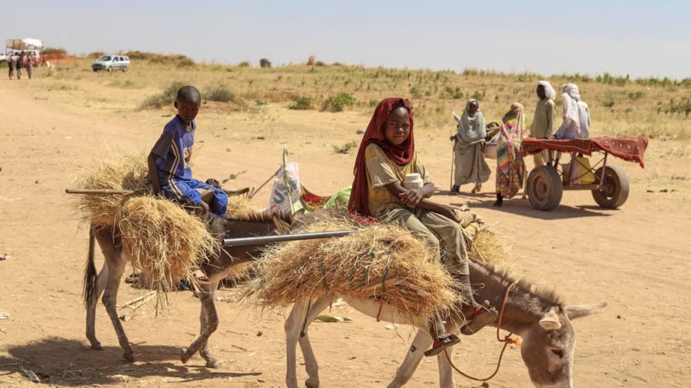 ARCHIV - Sudanesen, die aus der Stadt Al-Faschir geflohen sind, nachdem sudanesische paramilitärische Kräfte Hunderte von Menschen in der westlichen Region Darfur getötet haben, tragen Brennholz in ihrem Lager in Tawila. Foto: Muhnnad Adam/AP/dpa