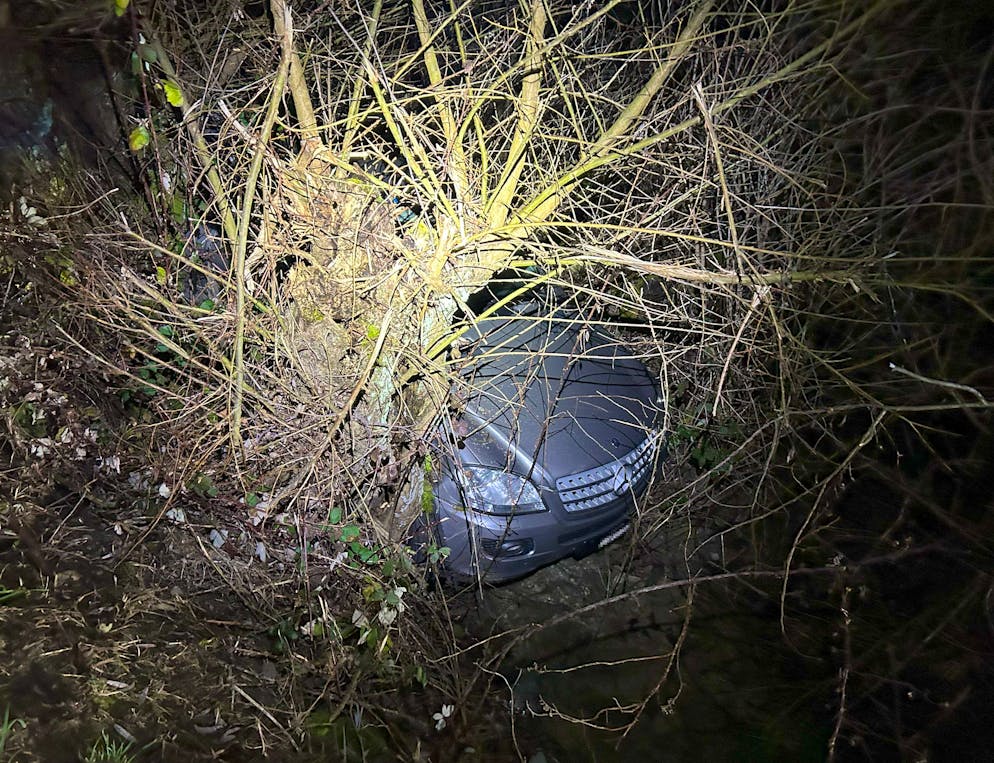 Der Wagen blib in einem Busch stecken.