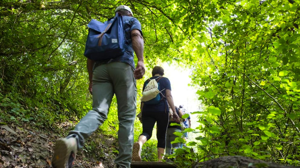 Montreux. Le sentier des Gorges du Chauderon ferme pour l'hiver