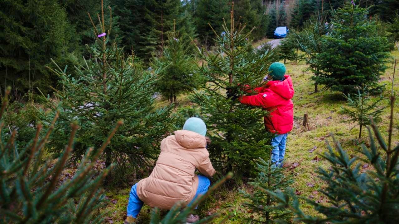 Wetter. Chancen auf weisse Weihnachten stehen schlecht