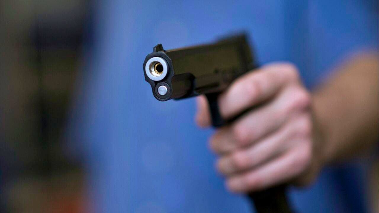 Consumer protection. Parliament wants new sales and import rules for imitation weapons