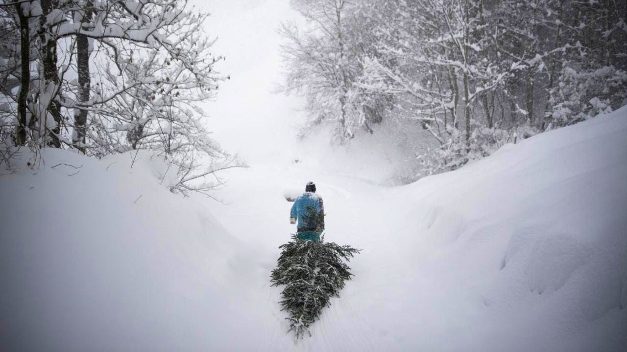 Climate. White Christmas used to be the exception on the Central Plateau