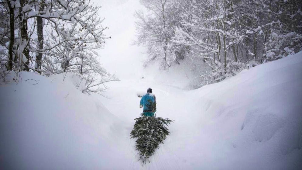 There will probably be no snow at Christmas - at least in the lowlands. (archive picture)