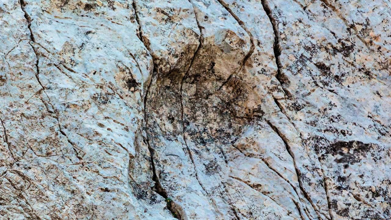 Latest news. Thousands of dinosaur tracks discovered in northern Italy