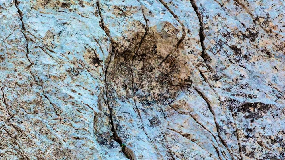 This photo provided by the Stelvio National Park shows a footprint of a prosauropod from the late Triassic discovered in the Fraele Valley in northern Italy.