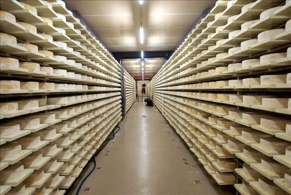 Immagine illustrativa/foto d'archivio.