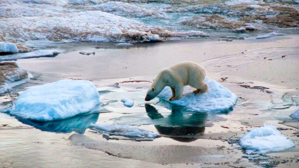 Pour "Vernier s'affiche", l'artiste Fanny Kopp a créé une série de linogravures au retour d'un voyage en Arctique, qui seront exposées dans les rues de la ville jusqu'au 30 décembre (image d'illustration).