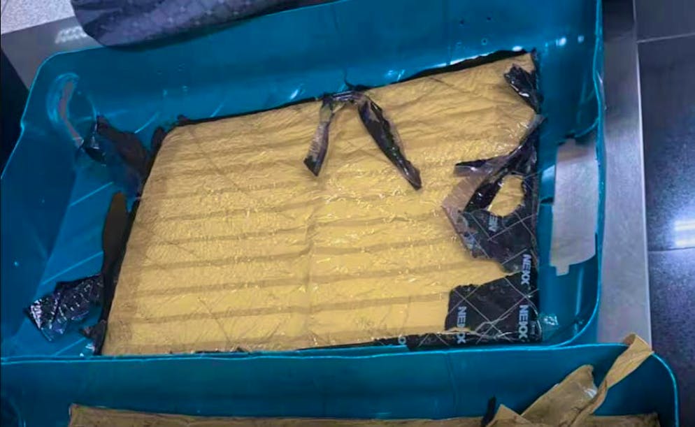 Drug smuggler. She had hidden six kilograms of crystal meth in the casing of her suitcase.