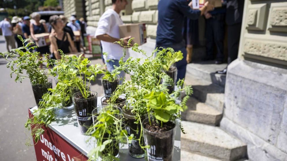 Der Nationalrat lehnt die Ernährungsinitiative ab, die eine verstärkte Selbstversorgung verlangt. Auch einen Gegenvorschlag will er nicht dazu. Im Bild die Einreichung der Unterschriften. (Archivbild)
