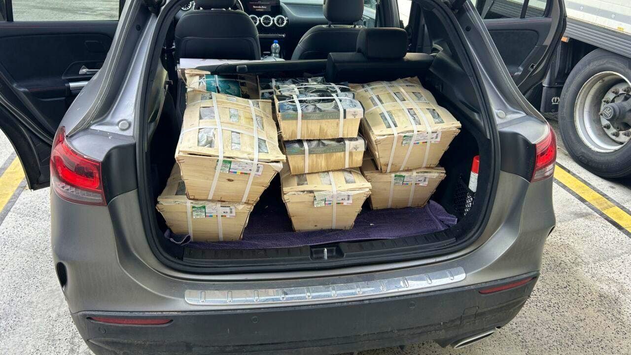 Schmuggel. Zoll stellt nicht mehr frische Austern für Weihnachtsmärkte sicher