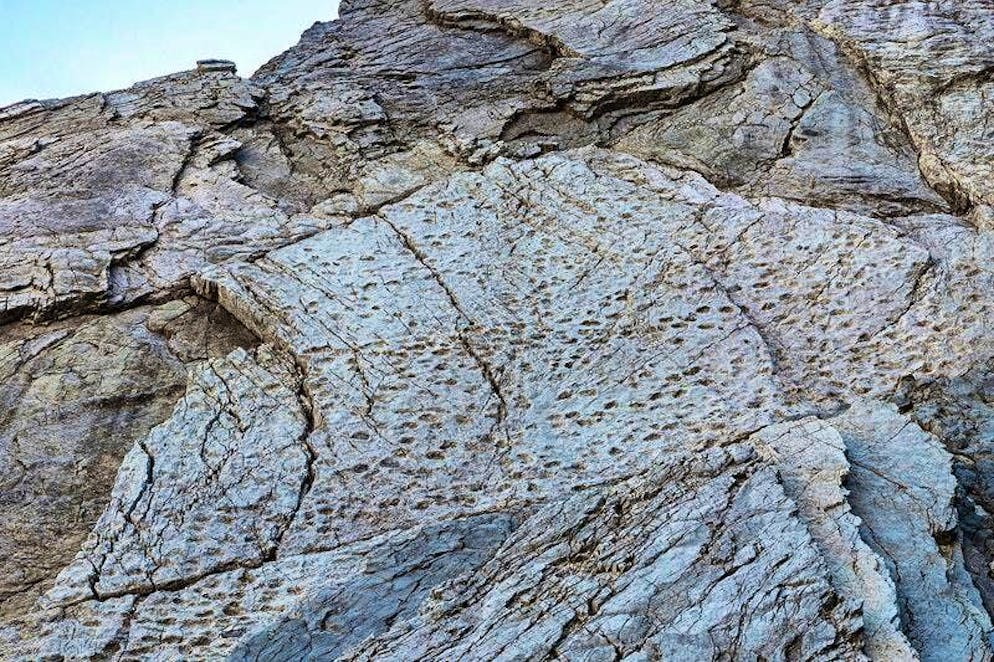 Le impronte di prosauropodi del Tardo Triassico sulle pendici della Valle di Fraeel, nell'Italia settentrionale.