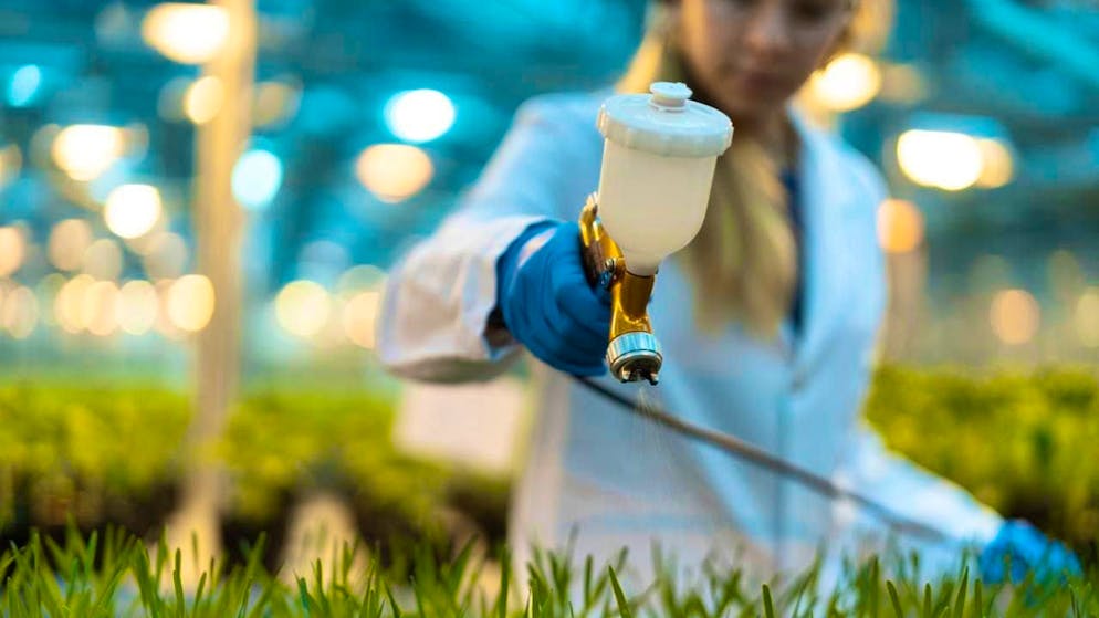 Faster approval of EU plant protection products should increase production capacity in agriculture. (archive picture)