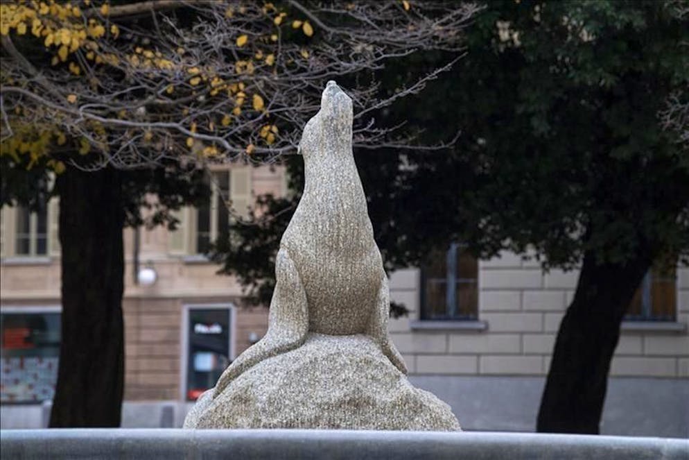 I dati presentati a Palazzo delle Orsoline
