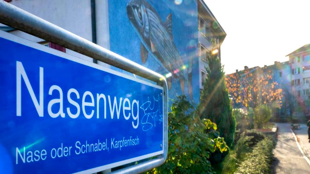 Avant d'assassiner une retraitée de 75 ans en août 2024, l'homme schizophrène de 33 ans avait déjà tué deux personnes dans le même quartier en 2014 (archives).