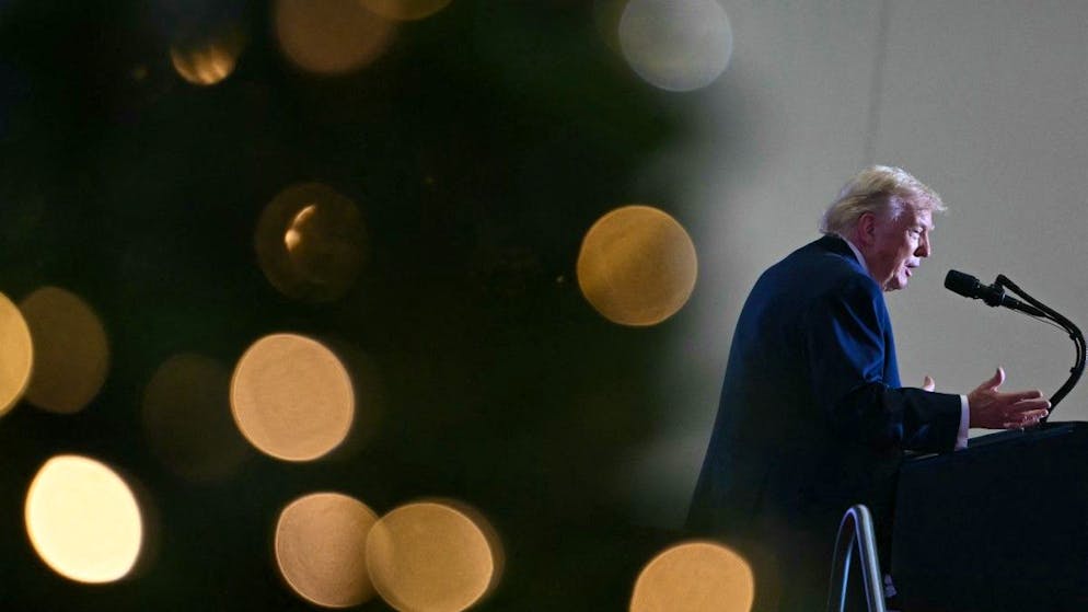 Publication partielle et caviardée. Donald Trump tente-t-il d'étouffer l'affaire Epstein?