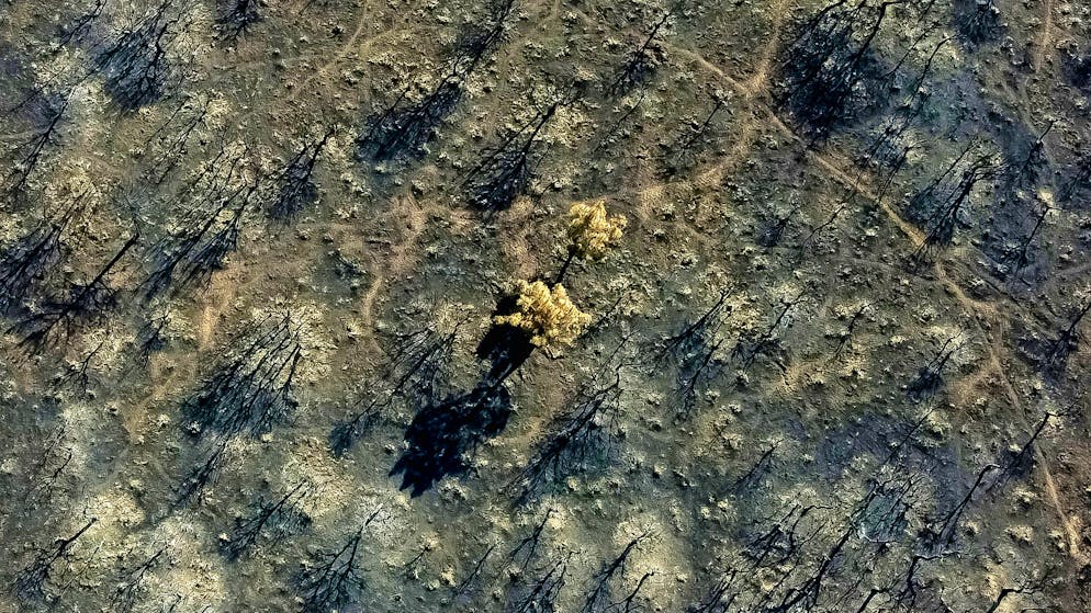 This is how it looked in the Leon region in August this year.