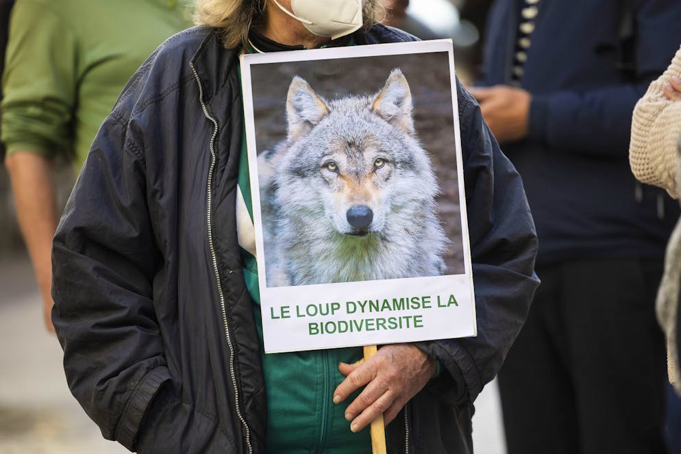 Les animaux prélevés «sont généralement en bonne santé» (photo d’illustration).