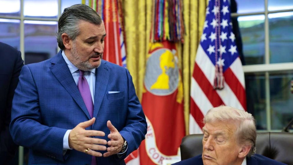 Ted Cruz nel 2016 fu sconfitto da Donald Trump alle primarie repubblicane.