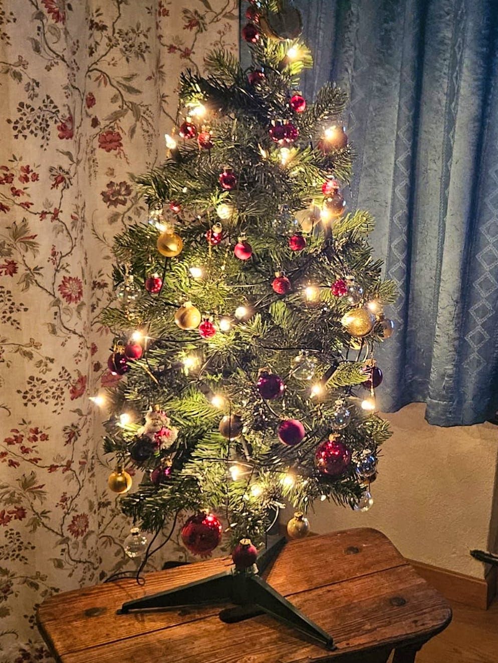 Weihnachtsbäume blue News Leser. Marty aus dem Appenzell lässt grüssen: «In meiner Stube, klein, dafür mein.»
