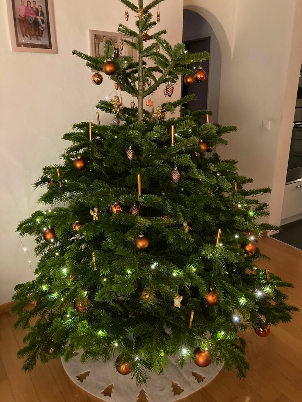 Weihnachtsbäume blue News Leser. Bei Familie Niederberger in der Region Luzern. 