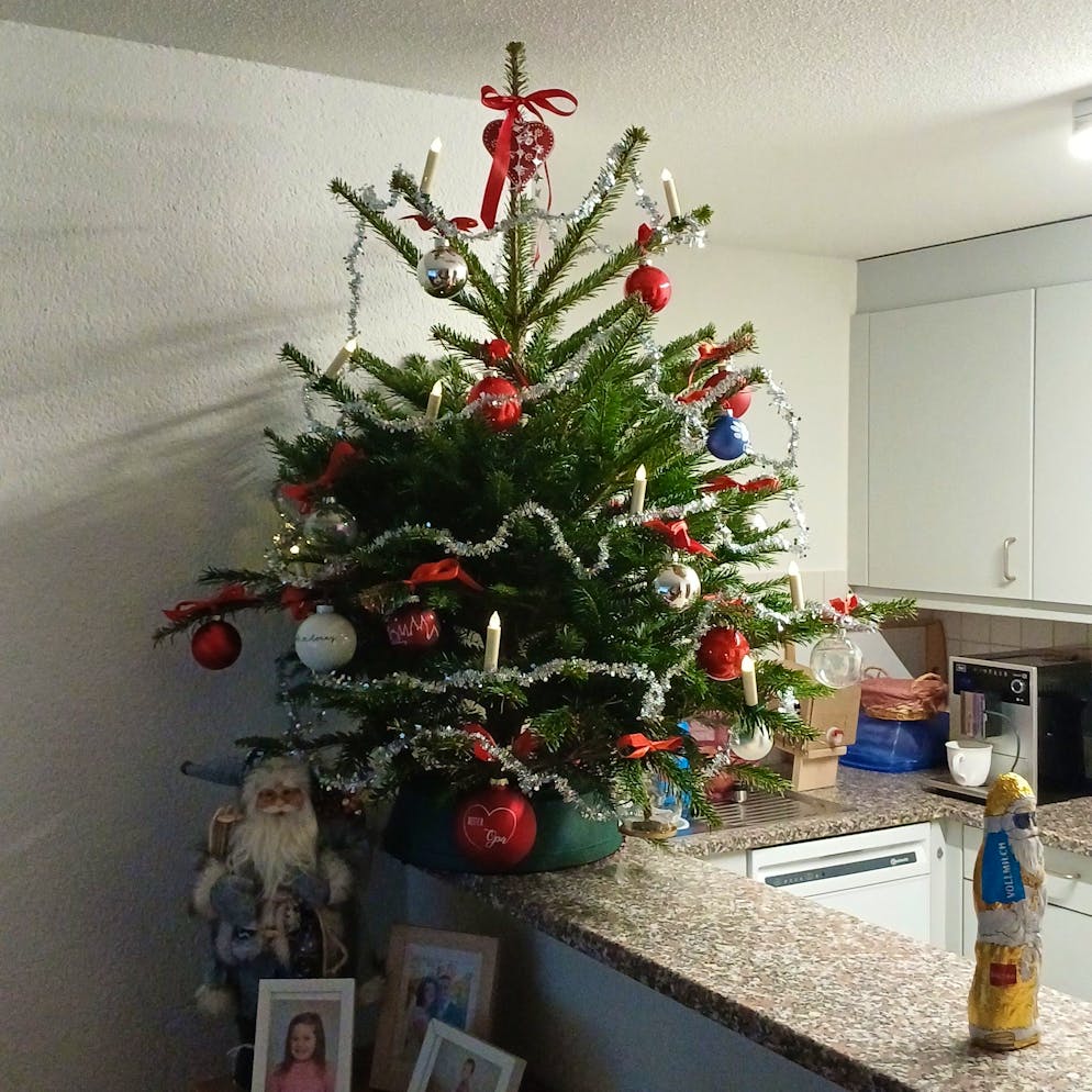 Weihnachtsbäume blue News Leser. Im Berner Oberland steht auch ein kleines Bäumchen.